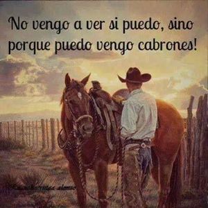 Meet your Posher, Jose